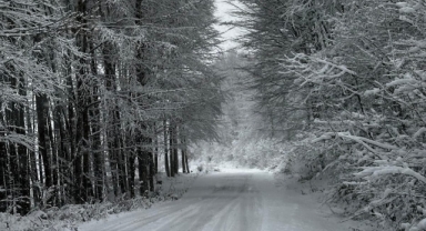 Giresun’da Kar Mesaisi: Ekipler Sahada