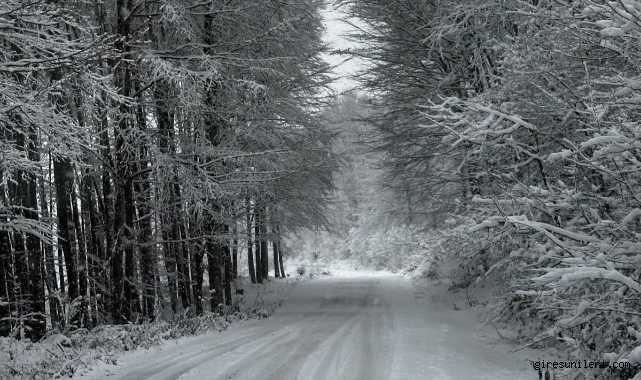 Giresun’da Kar Mesaisi: Ekipler Sahada
