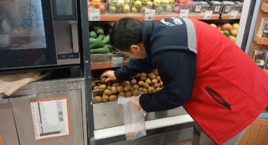 Giresun'da Kivi Üretiminde Kalite ve Güvenlik Denetimi