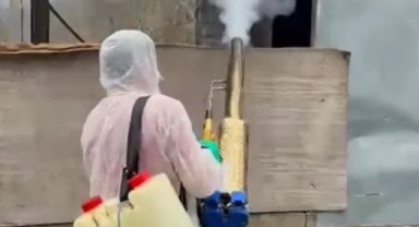 Giresun’da Kokarcaya Karşı Kararlı Mücadele