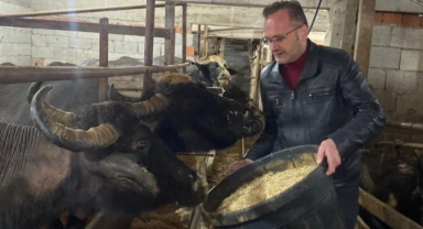Giresun’da Manda Yetiştiriciliğine Güçlü Katkı