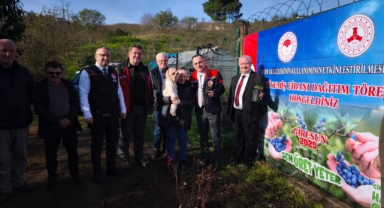 Giresun'da Maviyemiş Yetiştiriciliğinde Büyük Atılım: 62 Bin Sertifikalı Fidan Dağıtıldı
