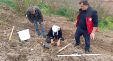 Giresun’da Tarımsal Üretim Destekleniyor: O İlçede Maviyemiş Bahçesi Kuruldu