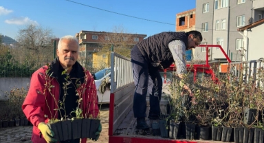 Giresun'dan mavi yemiş atağı!