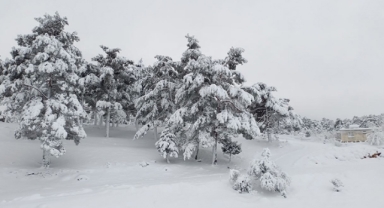 Giresun İçin Kar Alarmı!