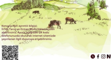 Giresun İl Tarım ve Orman Müdürlüğü Duyurdu: Destek Başvuruları Başlıyor!