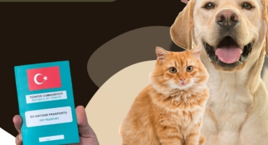 Giresun Valiliği’nden Uyarı: Son Tarih 31 Aralık 2025!