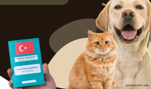 Giresun Valiliği’nden Uyarı: Son Tarih 31 Aralık 2025!