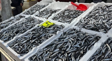 Hamsi 150 liradan alıcı buldu
