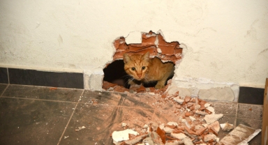 Havalandırmadan Gelen Ses Ekipleri Harekete Geçirdi! Giresun İtfaiyesinden Can Kurtaran Operasyon