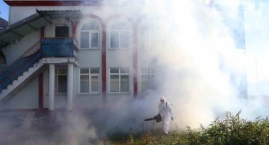 Kahverengi kokarca kışlak mücadelesi sürüyor