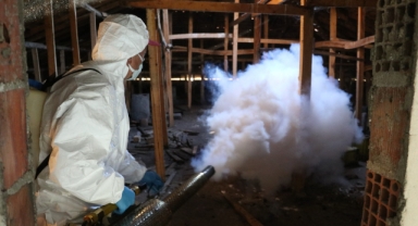 Kahverengi kokarcaya karşı kışlak mücadelesi sürüyor