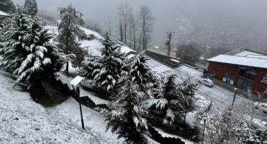 Karadeniz'de kar etkili oldu