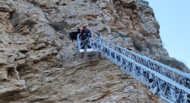 Kayalıklarda mahsur kalan 4 keçiyi itfaiye kurtardı