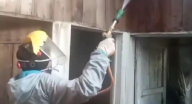 Keşap’ta Kahverengi Kokarcaya Karşı Kışlak Mücadelesi