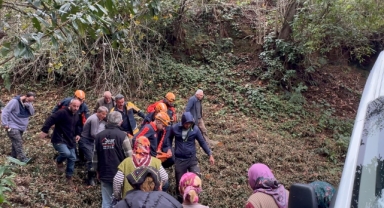 Kestiği ağacın çarptığı vatandaş uçuruma yuvarlandı!