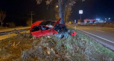 Kontrolden çıkan araç ağacın üzerine çıktı: 1 ağır yaralı