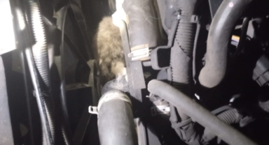 Minibüsün motoruna sıkışan kedi kurtarıldı