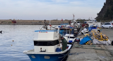 O kentte hamsi yoğunluğu yaşandı, palamut çıkmadı!