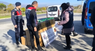 Otobüs Bagajında 400 Litre Kaçak Bitkisel Yağ Bulundu
