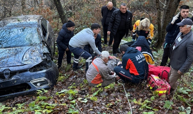 Otomobil ormanlık alana uçtu, 2 yaralı