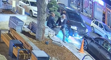 Parkta Ağaç Hırsızlığı Kamerada