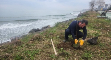 Piraziz’de Yaşam Alanları Güzelleşiyor: Sahilde Yeni Fidanlar Dikildi