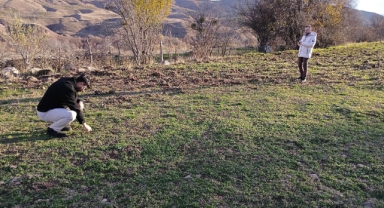 Şebinkarahisar’da Tarımsal Alanlarda Denetimler Sürüyor