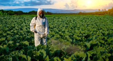 Tarımda Denetimler Artıyor, Cezalar Ağırlaşıyor!