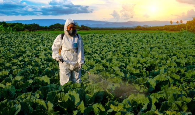 Tarımda Denetimler Artıyor, Cezalar Ağırlaşıyor!
