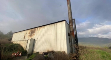 Tavuk çiftliğinde çıkan yangın korkuttu