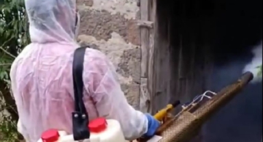 Tirebolu'da Kahverengi Kokarcaya Karşı Kışlık Mücadele 