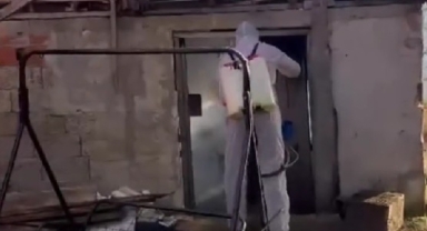 Tirebolu’da Kahverengi Kokarcaya Karşı Kışlık Mücadelesi