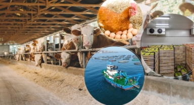 TKDK Giresun Duyurdu: IPARD III 10. Çağrı Tarihleri Değişti