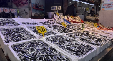 Trabzon'da hamsi ve istavrit 100 liradan satılıyor