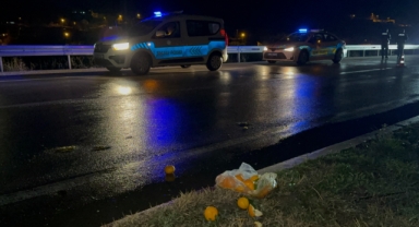 Yaşlı adam yolun karşısına geçmek isterken canından oldu