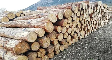 Orman Emvali İstifleme Hizmeti Alınacak