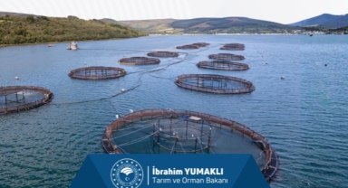 255 Milyon Liralık Tarımsal Destek Hesaplara Yatıyor!
