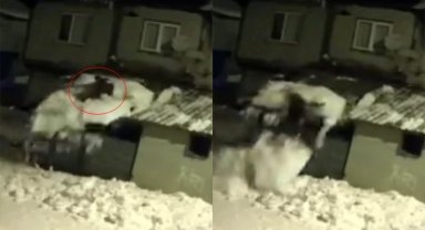 Çatıdaki karı temizlerken kar kütlesiyle zemine düştü