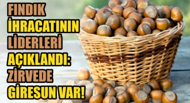 Fındık İhracatının Liderleri Açıklandı: Zirvede Giresun Var!