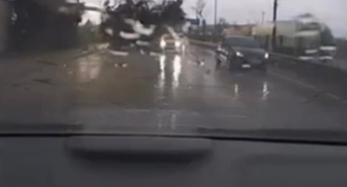 Fırtınanın ağacı devirme anı kamerada