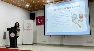Giresun'da Aile ve Sosyal Hizmetler Personeline Diyabet ve Beslenme Eğitimi