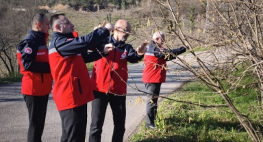 Giresun’da Fındık Bahçelerinde Fenolojik Kontroller Sürüyor