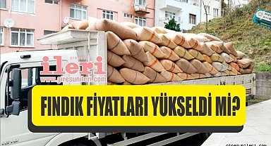 Giresun'da fındık fiyatları haftaya nasıl başladı? 