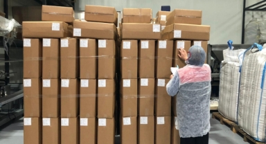 Giresun’da Fındık Tesislerine Gıda Güvenliği Denetimi