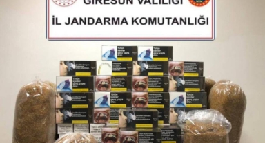 Giresun’da Kaçak Tütün Baskını!
