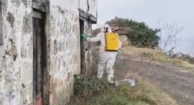Giresun’da Kahverengi Kokarcaya Karşı Kışlak Operasyonu