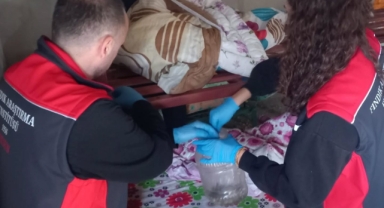 Giresun’da Samuray Arıcığı Üretimi İçin Saha Çalışması Yapıldı