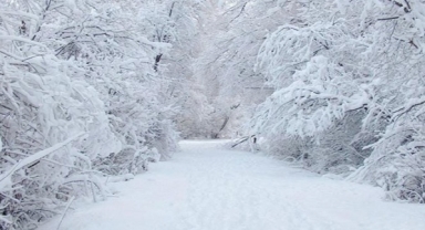 Giresun’da Yoğun Kar Yağışı Hayatı Olumsuz Etkiliyor