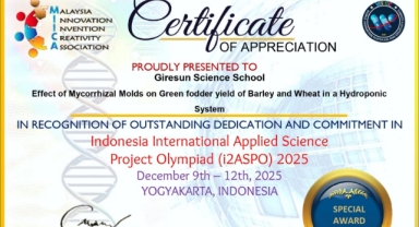 Giresun Fen Lisesi’nden Uluslararası Arenada Altın Madalya!